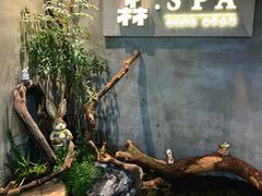 -森SPA·泰式按摩·精油Massage(宝安中心店)