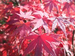 -青岛崂山太清宫