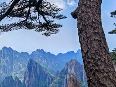 -黄山风景区