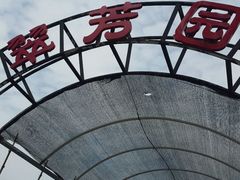 -庞各庄翠芳园西瓜蔬菜基地采摘园
