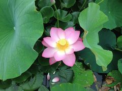 -北京丽景湾国际酒店