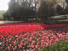 -上海鲜花港