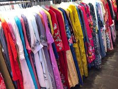 -一棵树(雨儿胡同)