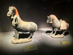 -大同市博物馆