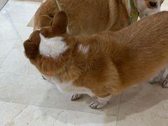 -鱼酷活鱼烤鱼(江宁金鹰店)