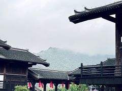 -大唐贡茶院