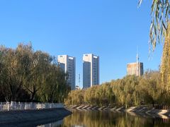 -津乐园(芥园道店)