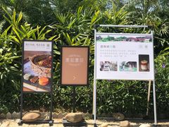-惠和石文化园
