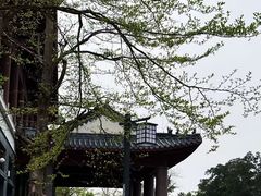 -丽都酒店(湛江吴川第三中学店)