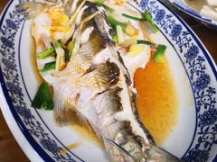 清蒸白水鱼-洞天食府(北大街店)