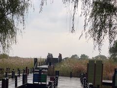 -苏州太湖湖滨国家湿地公园