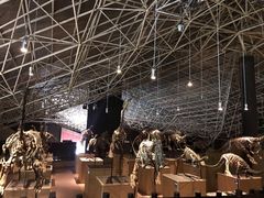 -世界恐龙谷景区