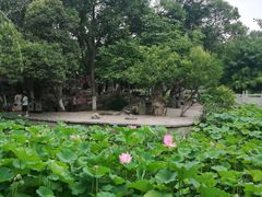 -莲湖公园