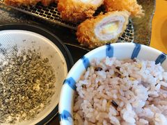 -胜博殿日式炸猪排(西红门店)