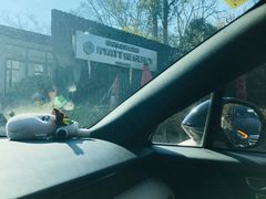 -上海崇明金茂凯悦酒店