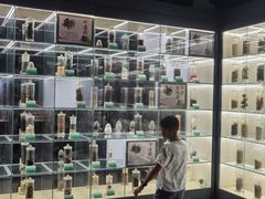 -广东中医药博物馆