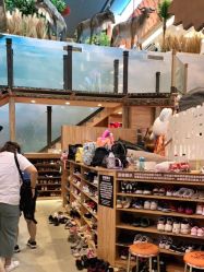 -卡通尼·Safari非洲探索乐园·生日会(金桥国际商业广场店)