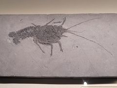 -山东博物馆