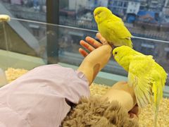 -怪兽屋·羊驼·猫咖·狗咖(俊华广场店)