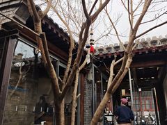 -VOYAGE COFFEE(杨梅竹店)