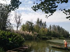 -白鹭湾湿地公园