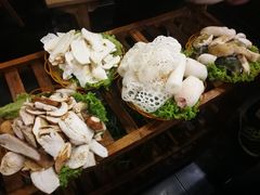 -易门野生菌府·菌海森林(月牙潭公园店)