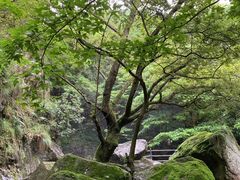 -宁波五龙潭景区