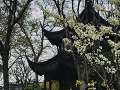 -拙政园