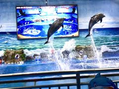 -多彩贵州城极地海洋世界