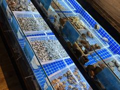 水产区-姚江春中餐厅·太平洋大酒店