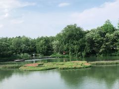 -西溪国家湿地公园