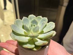 -鱼酷活鱼烤鱼(雨花客厅店)