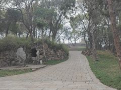 -无锡梅园公园