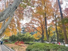 -原田新料理(1912店)