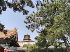 -颐和园