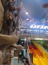 -卡通尼·Safari非洲探索乐园·生日会(金桥国际商业广场店)