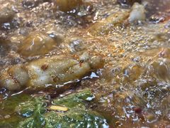 -肖肖酸萝卜鱼火锅(总店)