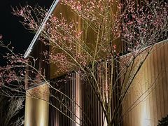 -天目湖涵田半山温泉