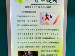 -上海昆虫博物馆