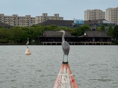 -东湖景区