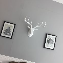 -宝贝天空儿童摄影(花溪店)