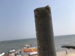 -霞涌市场海鲜摆卖区