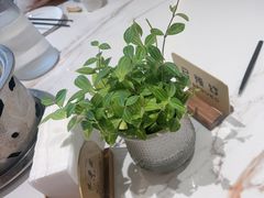 -山东宾馆·齐鲁苑餐厅