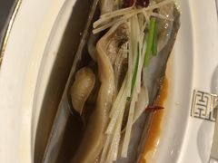 -开海·红岛海鲜虾水饺(石老人店)