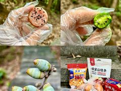 -午潮山国家森林公园