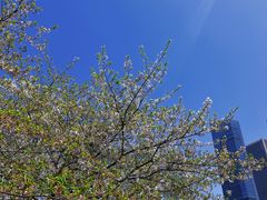 -西北湖绿化广场