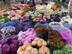 -双季花艺园艺市场(浦东店)