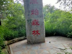 -大青沟风景区