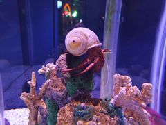 -太平洋海底世界