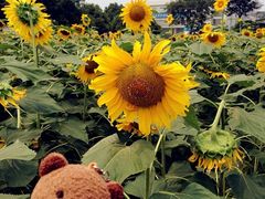 iphone_upload_pic-南京信息职业技术学院-1食堂